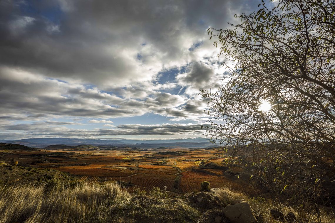Rioja Alavesa - photo courtesy of DOCa Rioja