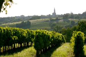 Côtes de Bordeaux pairings through Blaye, Cadillac & Castillon with #Winophiles