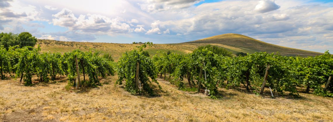 Candy Mountain AVA in Washington's Yakima Valley from Kitzke Cellars