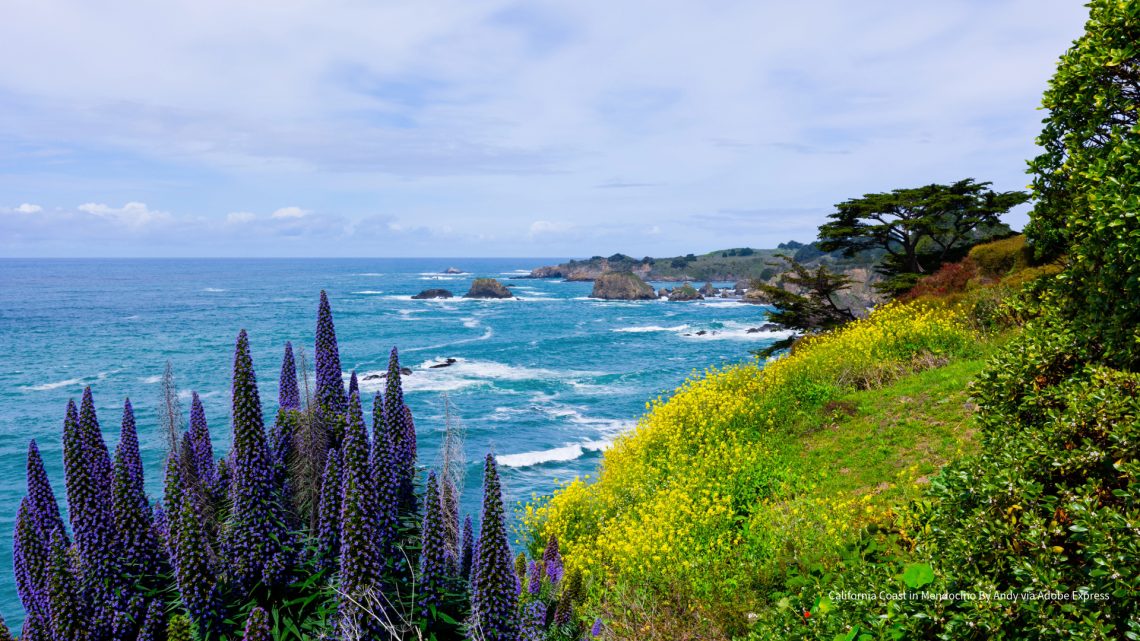 California Coast in Mendocino the North Coast Region By Andy via Adobe Express