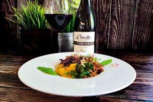 Turian Schioppettino 2021 from Collavini with Cambozola Pumpkin Polenta, Pulled Pork and Radicchio and Chard